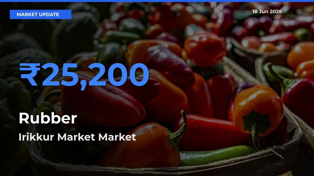 Irikkur Market Offers ₹25,200 – Highest Rubber Rate Today
