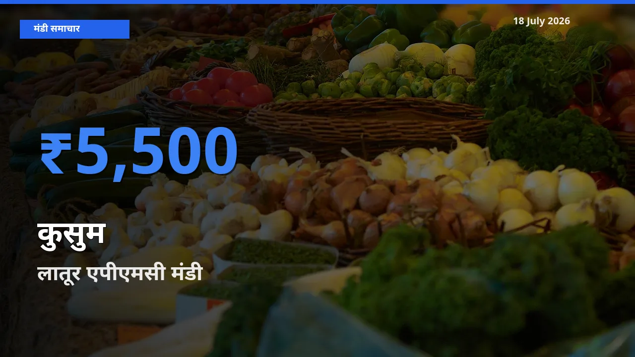 लातूर एपीएमसी मंडी में आज कुसुम के सबसे ऊँचे दाम दर्ज