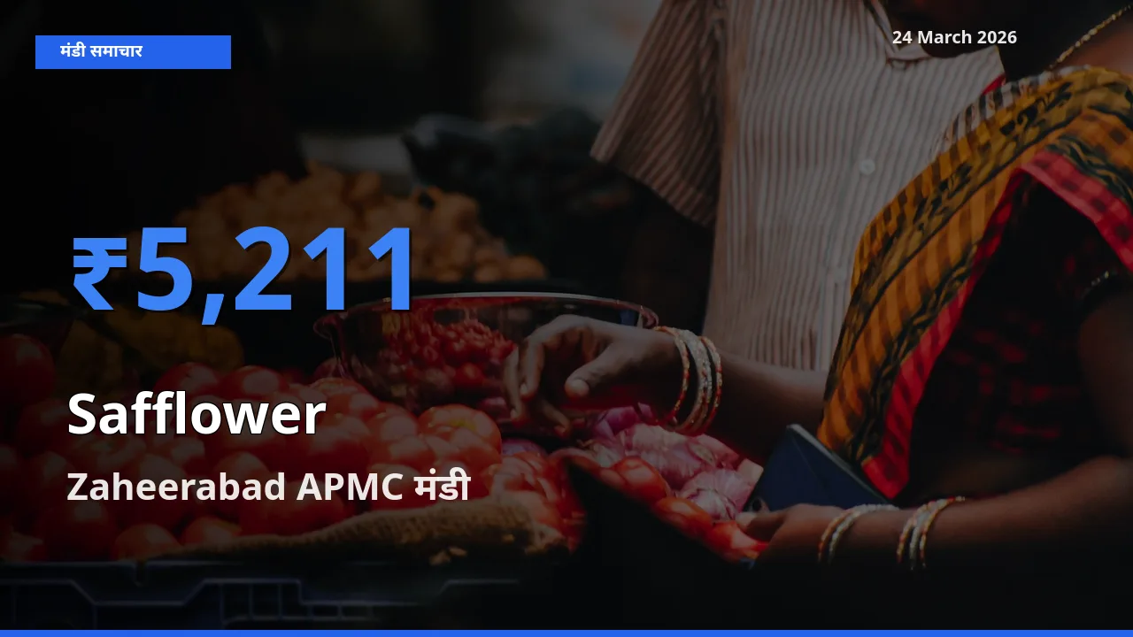आज कुसुम के सबसे ज़्यादा दाम Zaheerabad APMC मंडी में दर्ज