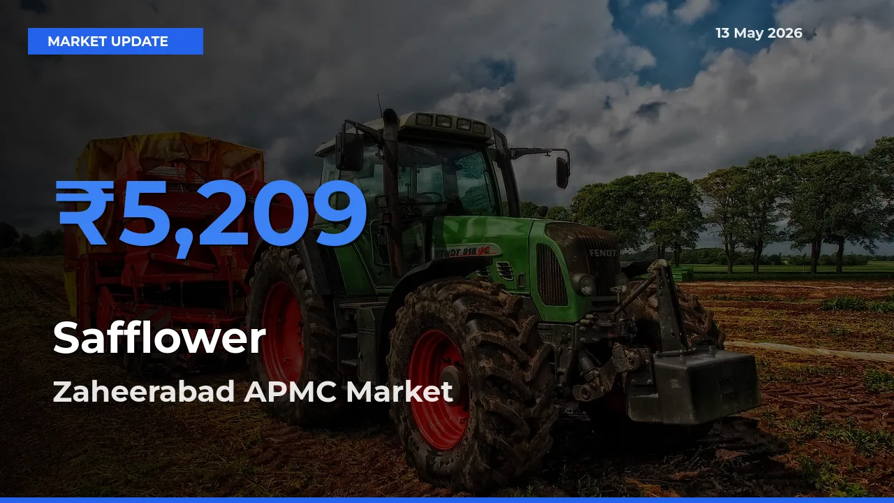 Zaheerabad APMC Tops Safflower Mandi Rates Today