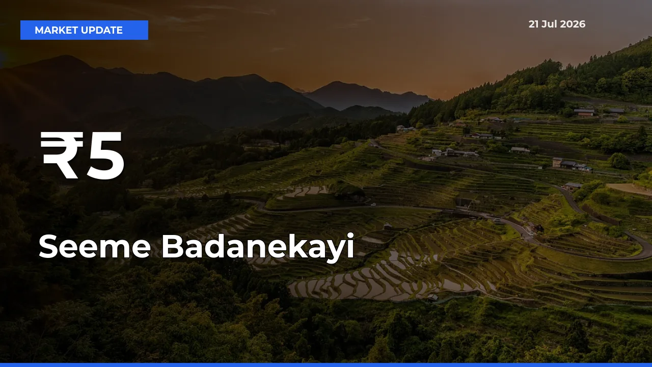 Seeme Badanekayi Prices Trend Across 5+ Mandis – Market Direction Turns Clear