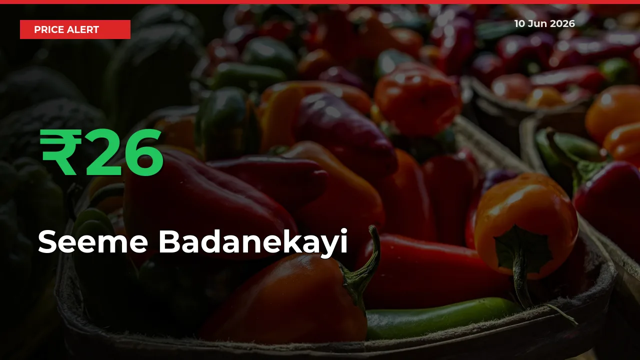 Seeme Badanekayi Mandi Rate Today: Prices Jump 25.53% at Market