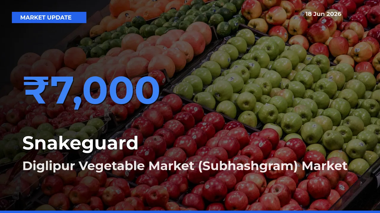 Farmers Prefer Diglipur Vegetable Market (Subhashgram) as Snakeguard Hits Highest Rate