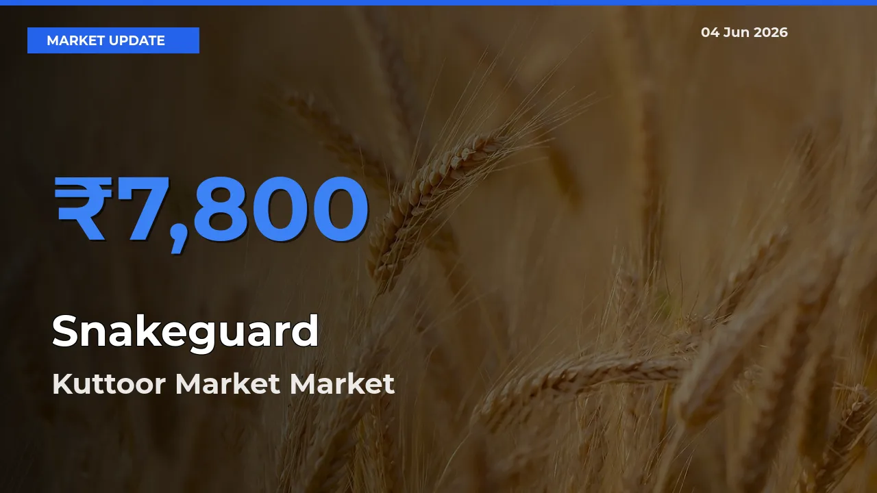 Kuttoor Market Tops Snakeguard Mandi Rates Today
