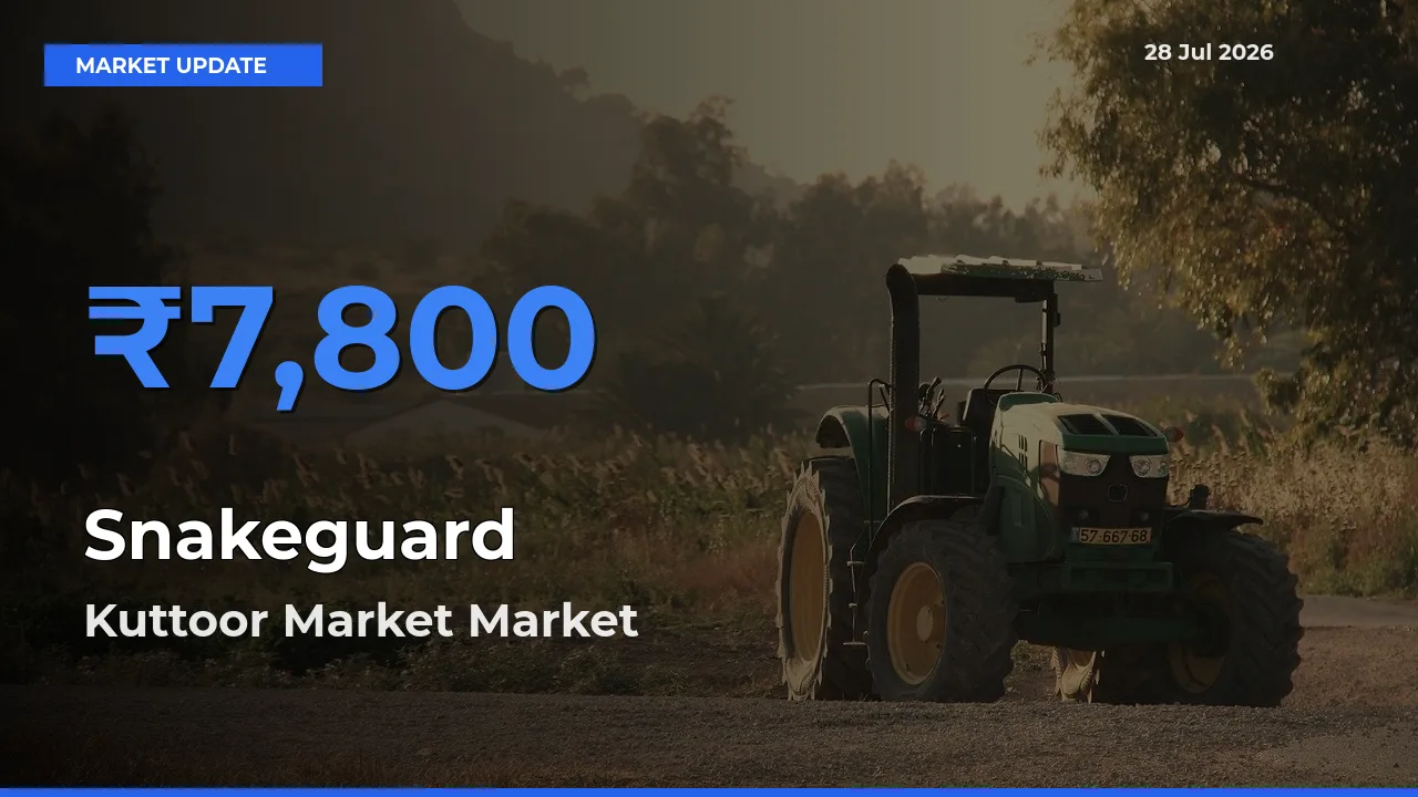 Snakeguard Mandi Rate Today: Kuttoor Market, Pathanamthitta, Keralam Tops the List