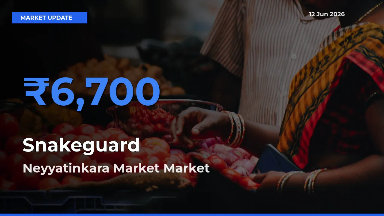 Market Watch: Neyyatinkara Market Becomes Top Mandi for Snakeguard