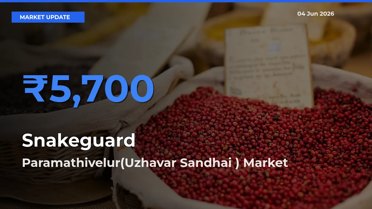 Top Performer! Paramathivelur(Uzhavar Sandhai ) Offers Best Snakeguard Price Today