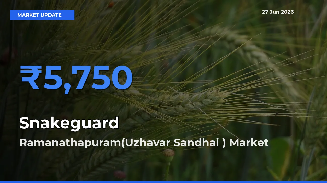 Ramanathapuram(Uzhavar Sandhai ) Tops Snakeguard Rates – June 27 Market Update