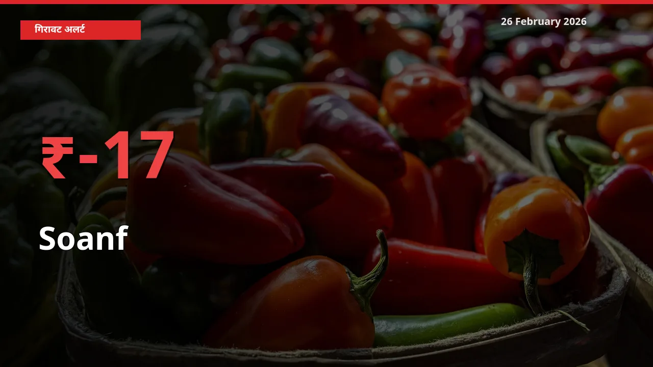 Soanf 17.33% गिरा, मंडी