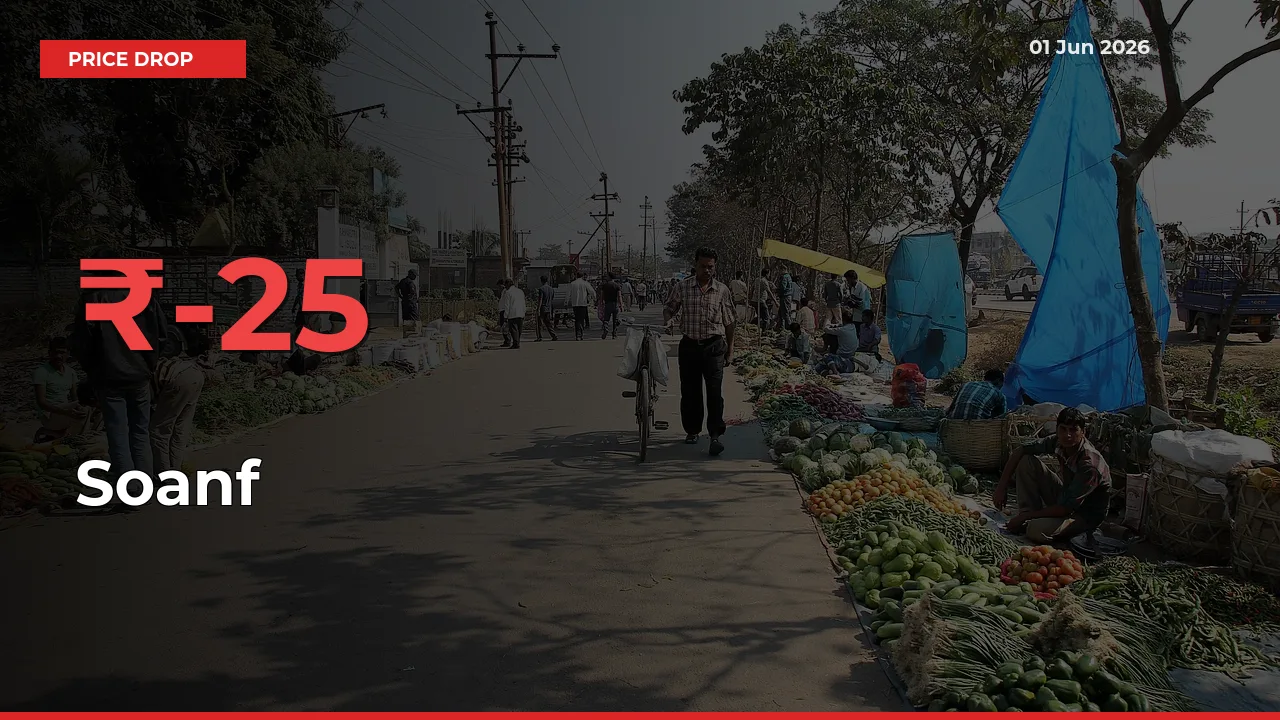 This Mandi Records 25.18% Fall in Soanf Prices