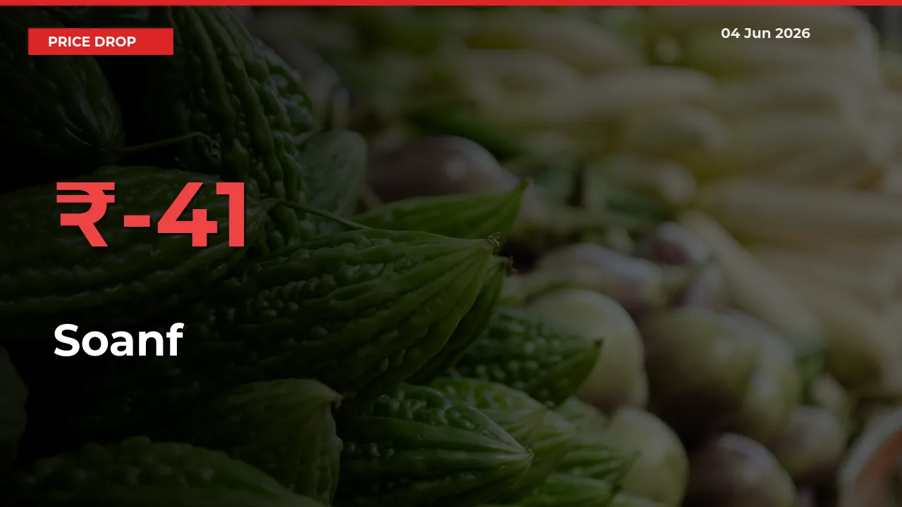 Farmers Alert as Soanf Prices Slide 41.26% in Local Mandis