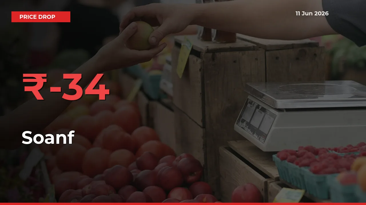 Soanf Prices Drop 33.68% in 24 Hours at Major Mandis