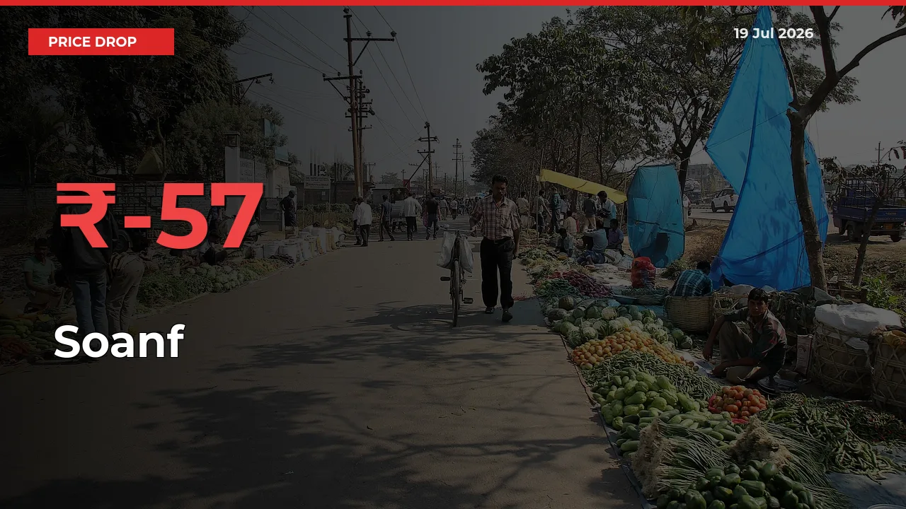 Soanf Mandi Rate Today: Prices Fall 56.64% at Market