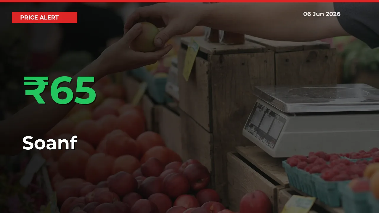 Farmers Cheer as Soanf Prices Surge 65.32% in Local Mandis
