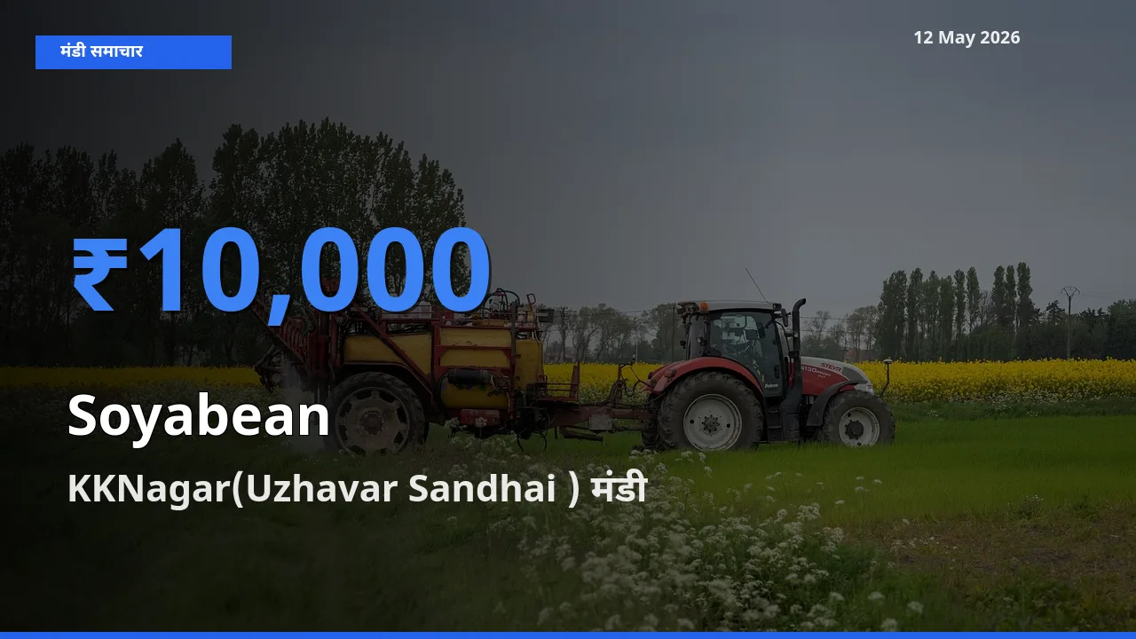 आज का मंडी भाव: सोयाबीन के सबसे ज़्यादा दाम KKNagar(Uzhavar Sandhai ) में