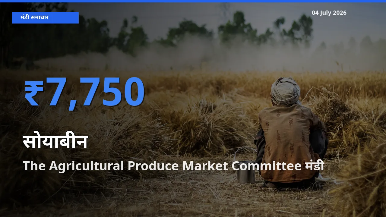 किसानों की पसंद बना The Agricultural Produce Market Committee, सोयाबीन के सबसे अच्छे दाम