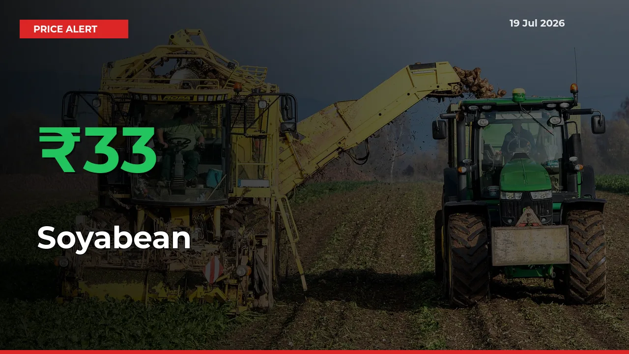 32.86% Spike in Soyabean Prices – Mandi Sees Sudden Rally