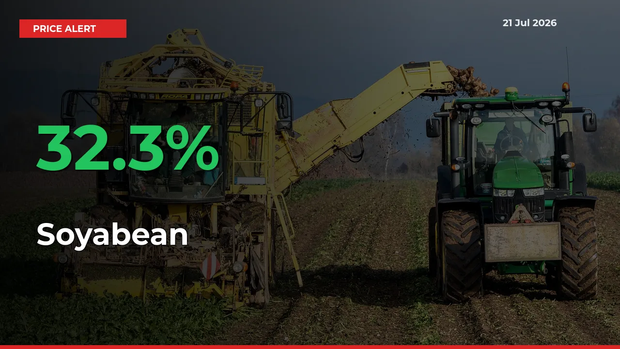 Why Soyabean Prices Rose 32.3% in a Day at Mandis