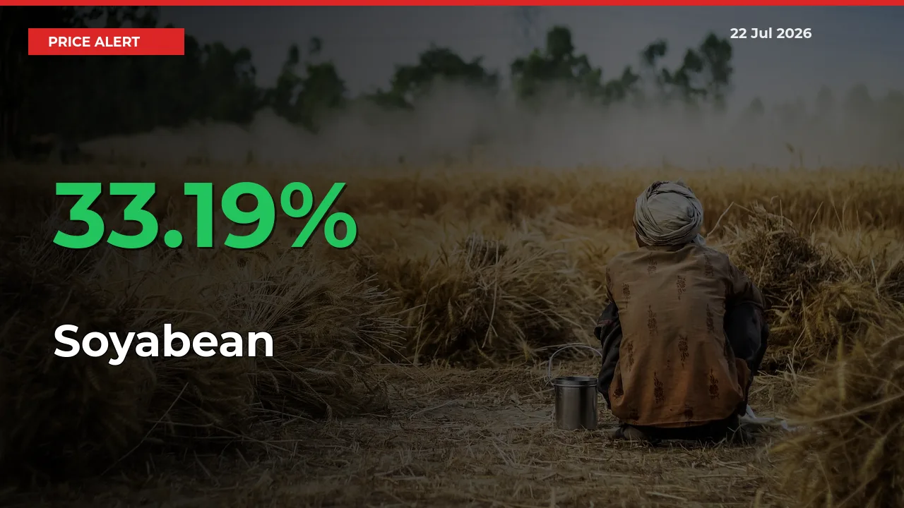 Soyabean Mandi Rate Today: Prices Jump 33.19% at Market