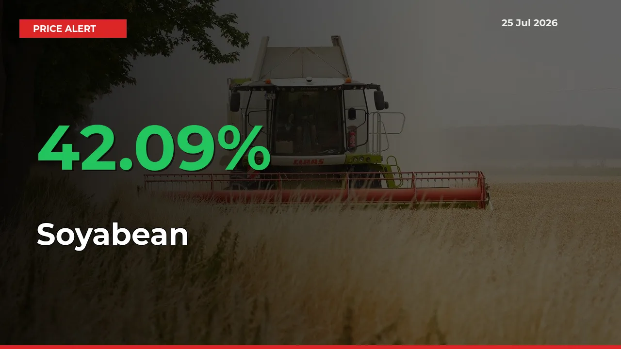 This Mandi Records 42.09% Jump in Soyabean Prices