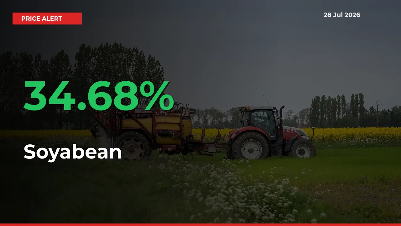 Why Soyabean Prices Rose 34.68% in a Day at Mandis