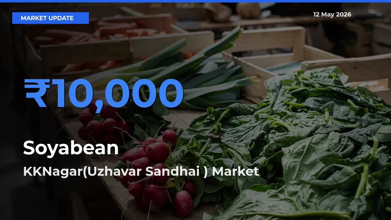 KKNagar(Uzhavar Sandhai ) Offers ₹10,000 – Highest Soyabean Rate Today