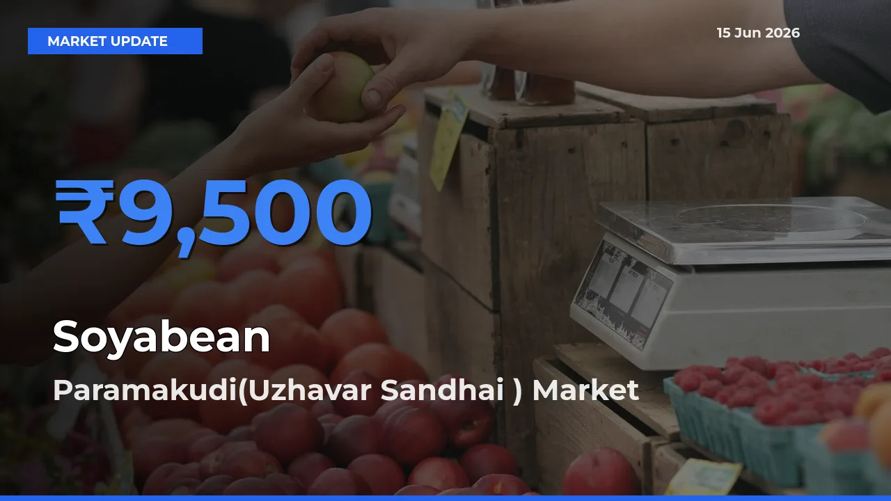 Farmers Prefer Paramakudi(Uzhavar Sandhai ) as Soyabean Hits Highest Rate