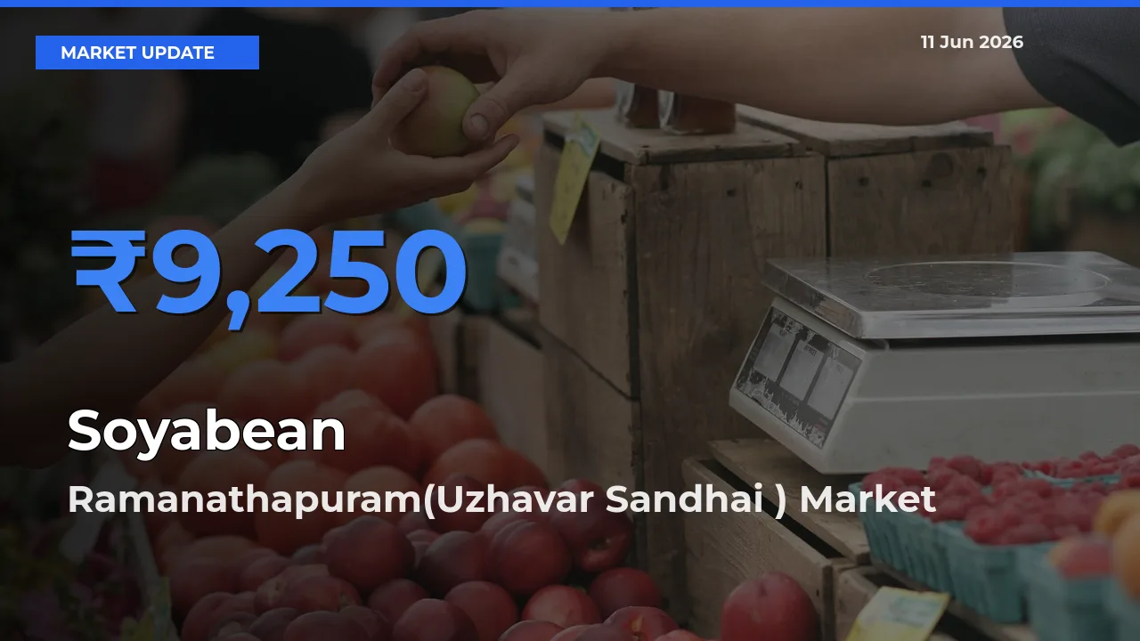 Ramanathapuram(Uzhavar Sandhai ) Emerges as Top Mandi for Soyabean Prices Today