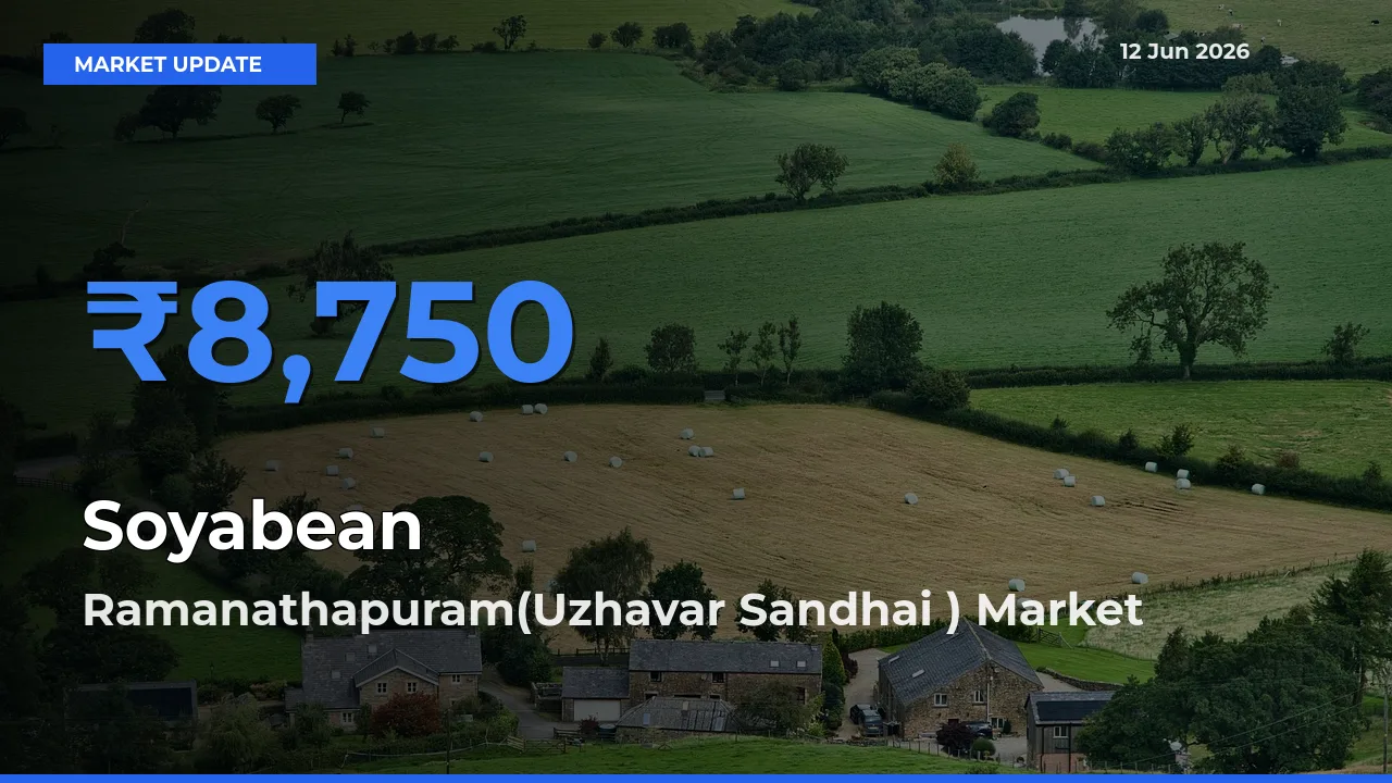 Ramanathapuram(Uzhavar Sandhai ) Emerges as Top Mandi for Soyabean Prices Today