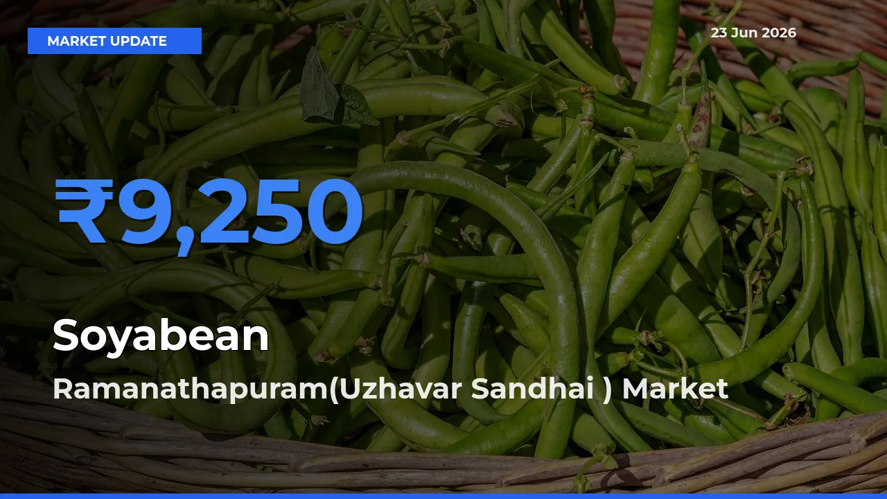 Soyabean Mandi Rate Today: Ramanathapuram(Uzhavar Sandhai ) Tops the List