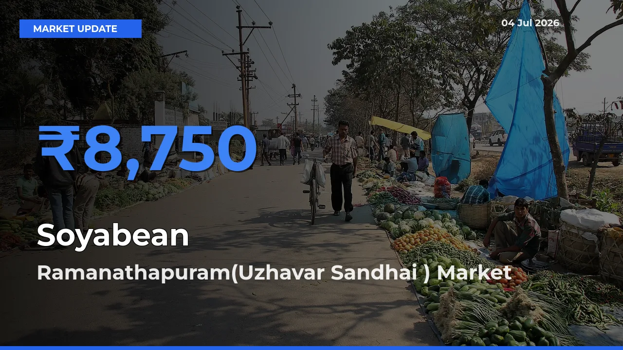 Farmers Prefer Ramanathapuram(Uzhavar Sandhai ) as Soyabean Hits Highest Rate