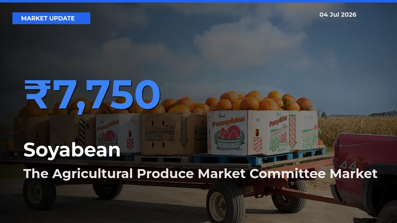 Market Watch: The Agricultural Produce Market Committee Becomes Top Mandi for Soyabean