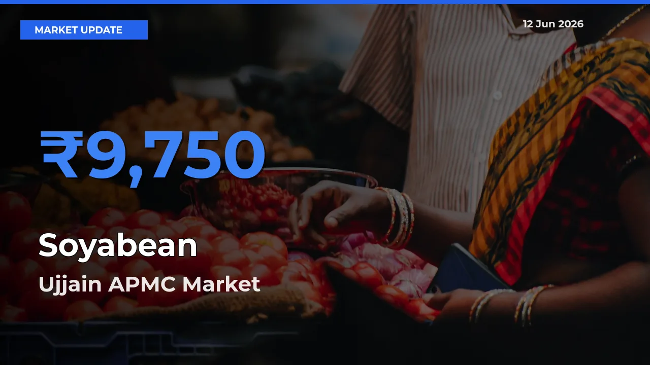 Farmers Prefer Ujjain APMC as Soyabean Hits Highest Rate