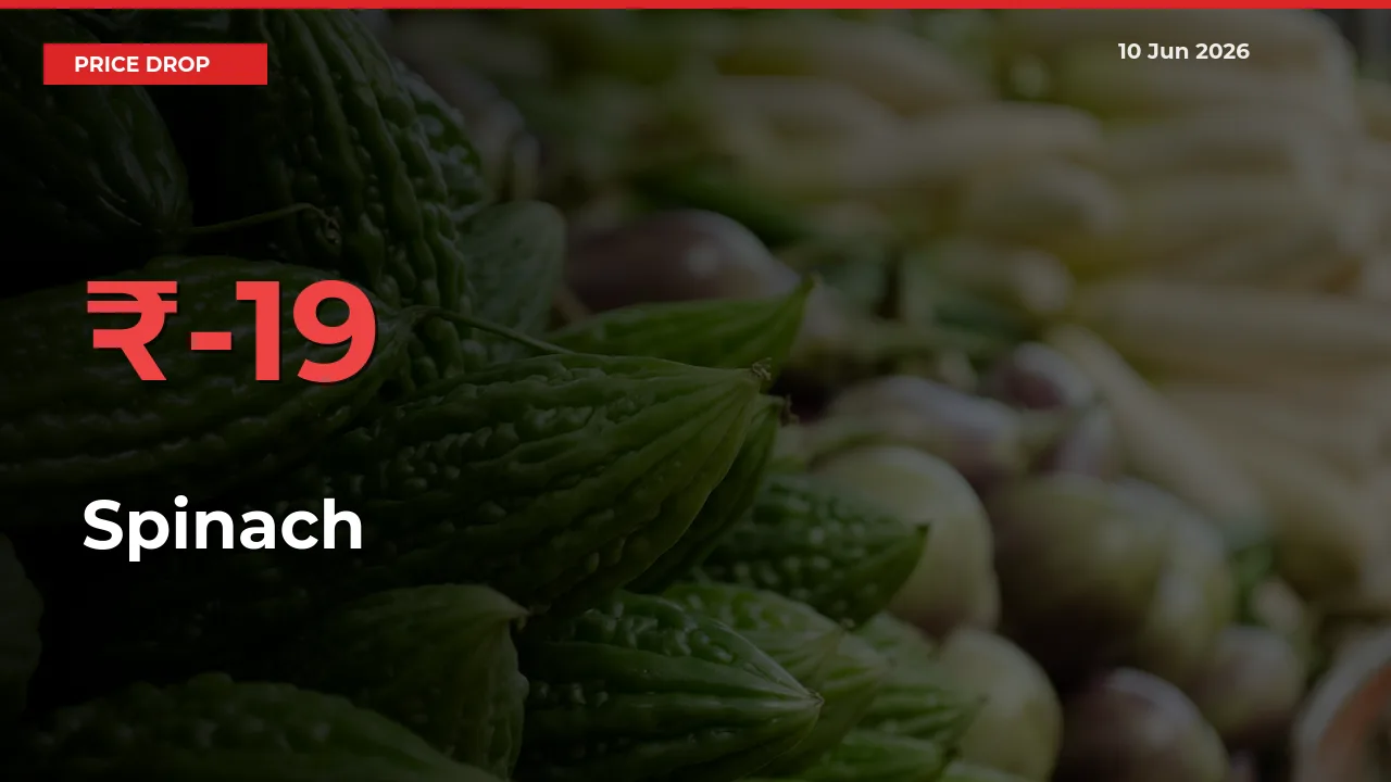 Spinach Mandi Rate Today: Prices Fall 18.5% at Market