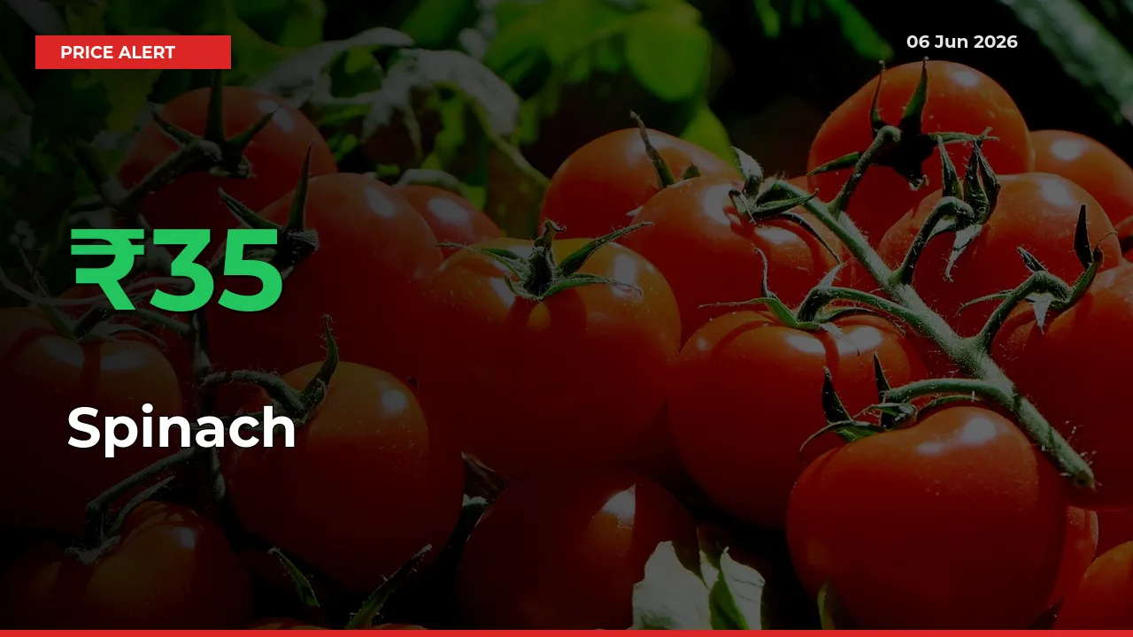 Spinach Prices Rise 34.68% in a Day at Major Mandis