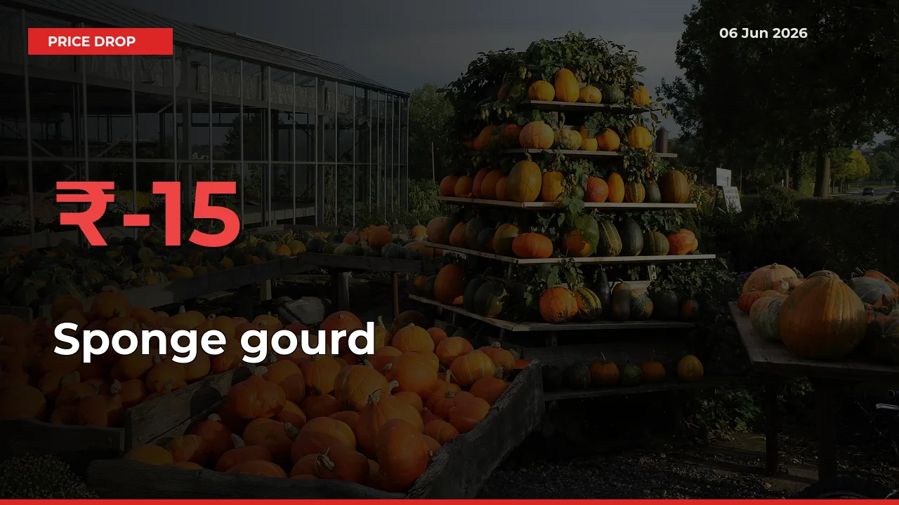 Farmers Alert as Sponge gourd Prices Slide 15.39% in Local Mandis