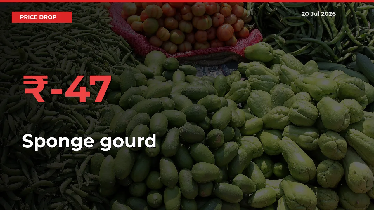 Sponge gourd Prices Drop 47.46% in 24 Hours at Major Mandis