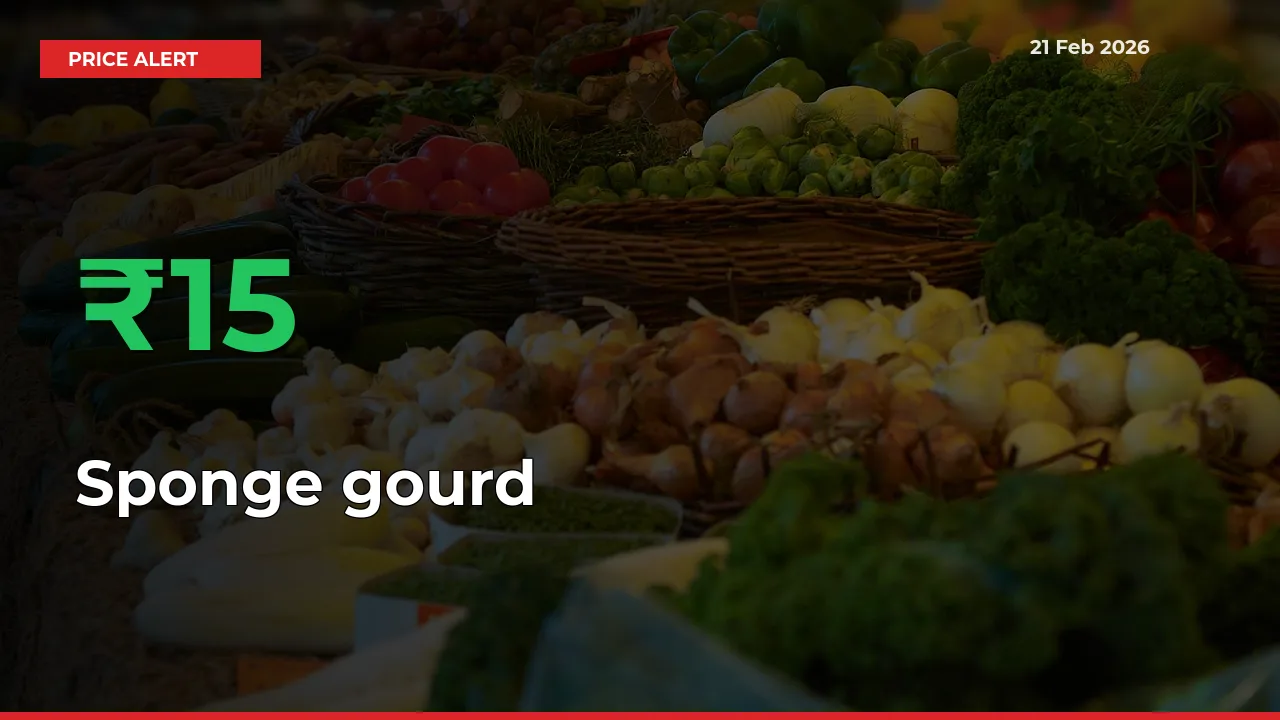 Sponge gourd Mandi Rate Today: Prices Jump 15.07% at Market