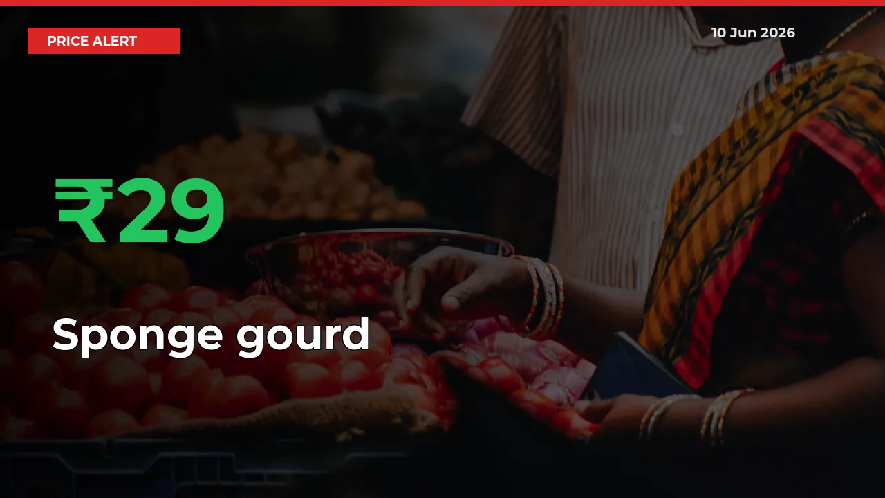 Why Sponge gourd Prices Rose 28.88% in a Day at Mandis