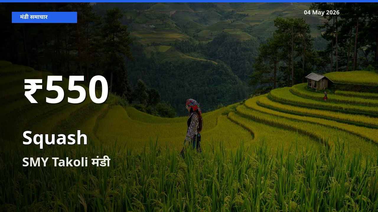 04 May अपडेट: कद्दू (कोहड़ा) के दाम 30 दिन के न्यूनतम स्तर पर, SMY Takoli