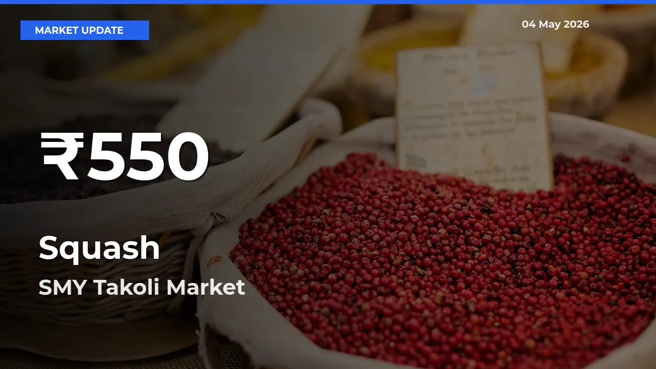 Big Drop! Squash Slides to 30-Day Low at SMY Takoli