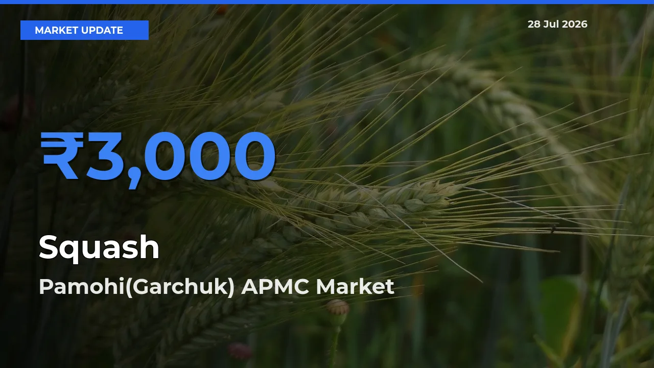 Pamohi(Garchuk) APMC, Kamrup, Assam Tops Squash Mandi Rates Today