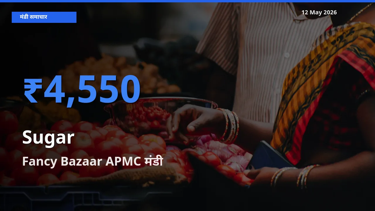 टॉप मंडी बना Fancy Bazaar APMC! चीनी के सबसे ऊँचे दाम यहीं दर्ज