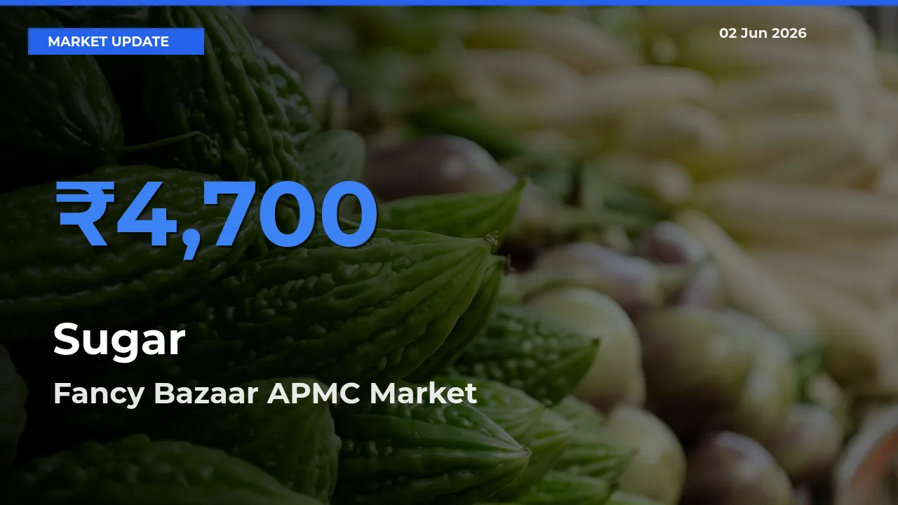 Fancy Bazaar APMC Leads as Top Mandi for Sugar Prices