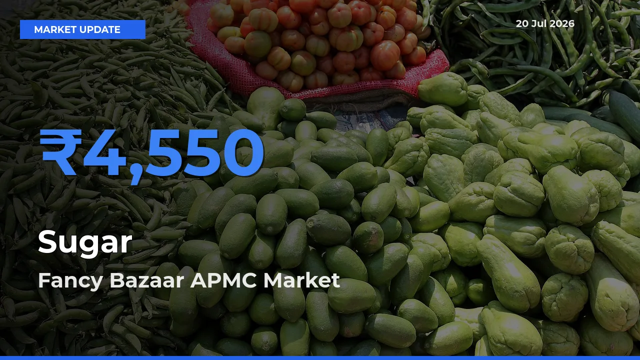 Fancy Bazaar APMC Leads as Top Mandi for Sugar Prices
