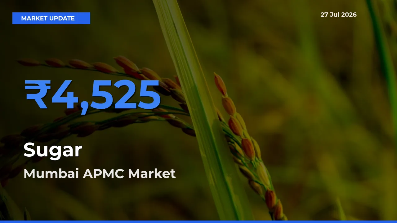 Mumbai APMC, Maharashtra Records Highest ₹4,525 Rate for Sugar