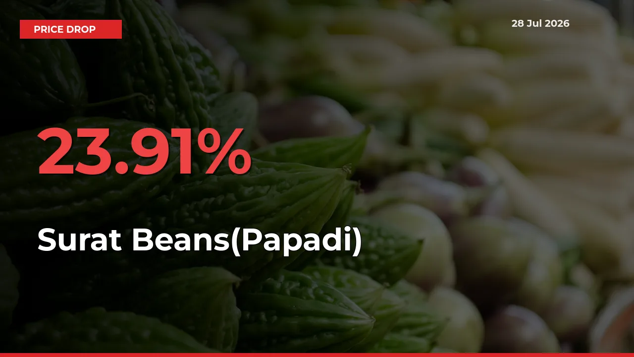 Farmers Alert as Surat Beans(Papadi) Prices Slide 23.91% in Local Mandis