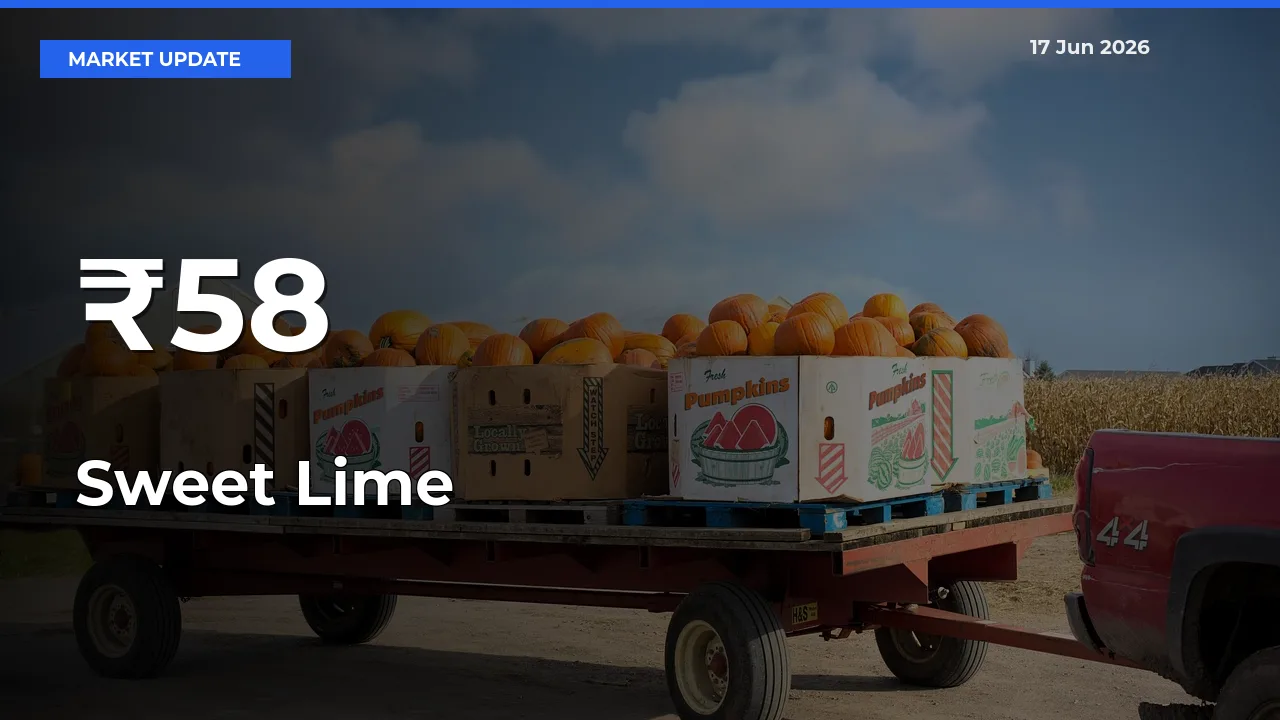 Sweet Lime Mandi Trend Today: Prices Shift Across Multiple Markets