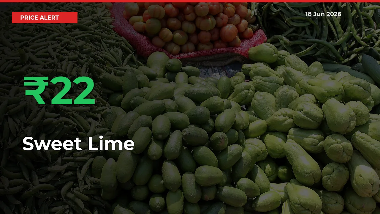 Sweet Lime Rises 21.68% at Mandis
