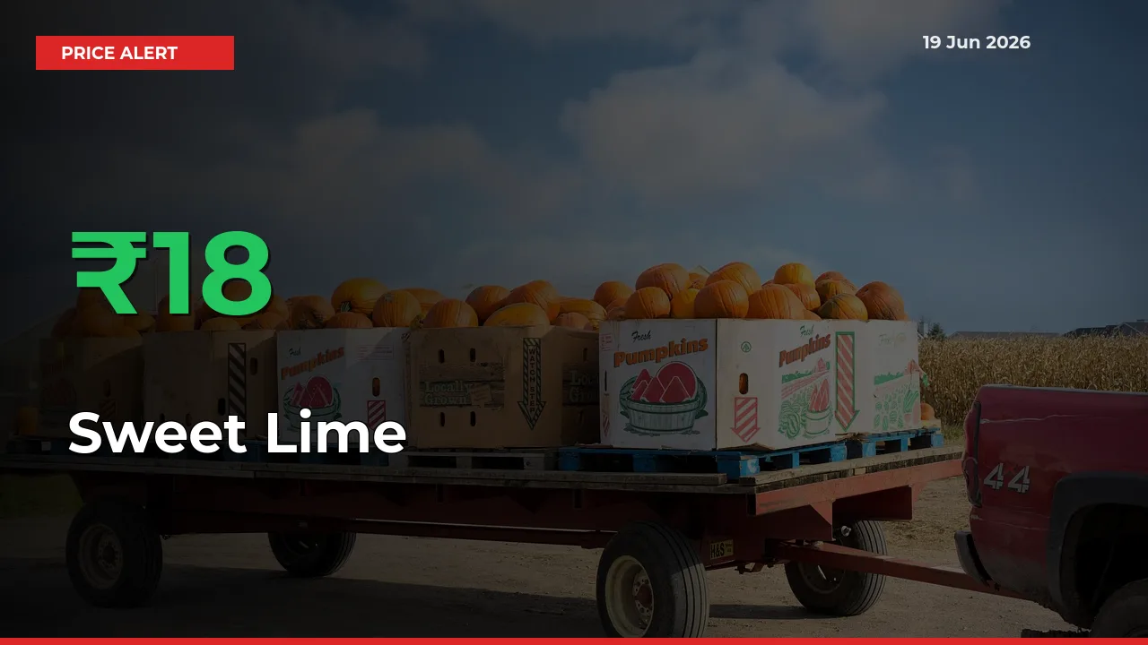 Sweet Lime Mandi Rate Today: Prices Jump 17.74% at Market